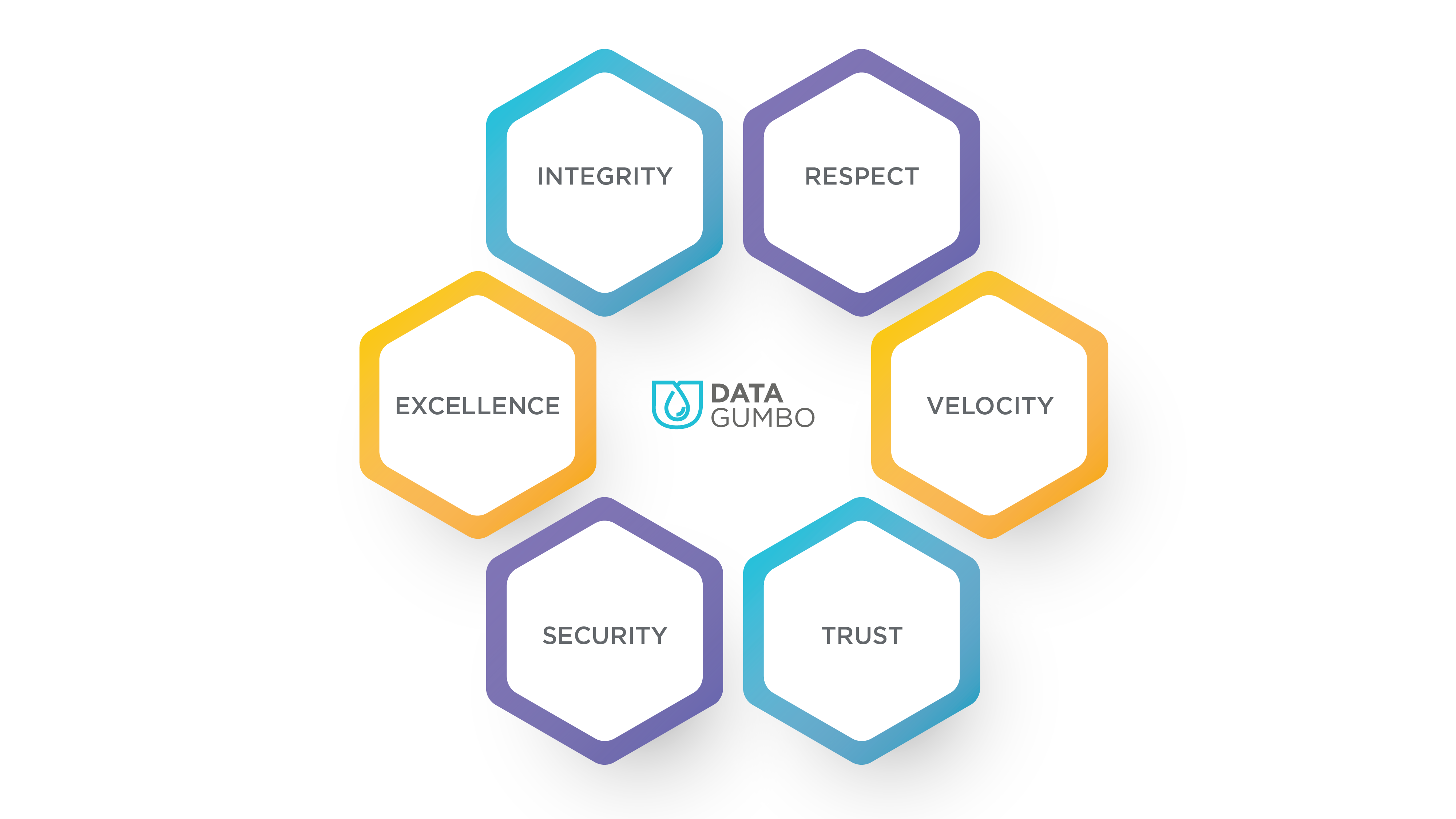 Data Gumbo values integrity respect excellence velocity security trust Data Gumbo values integrity respect excellence velocity security trust